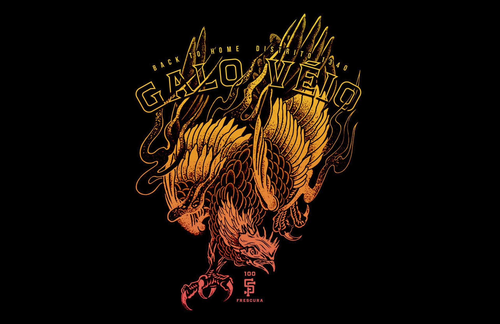 Cali Custom - Últimas notícias