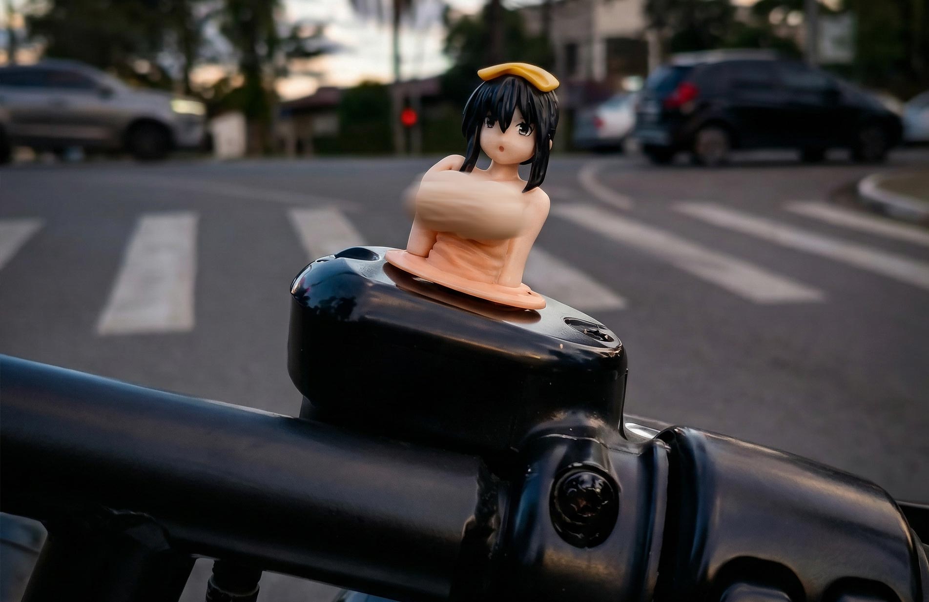 Cali Custom - Últimas notícias