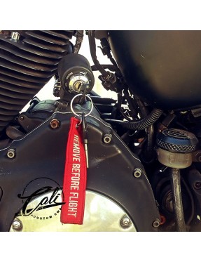 Chaveiro - Remove Before Flight