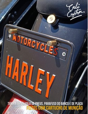 Tampa de válvula de pneu, parafusos de placa e banco feitos com cartucho de munição